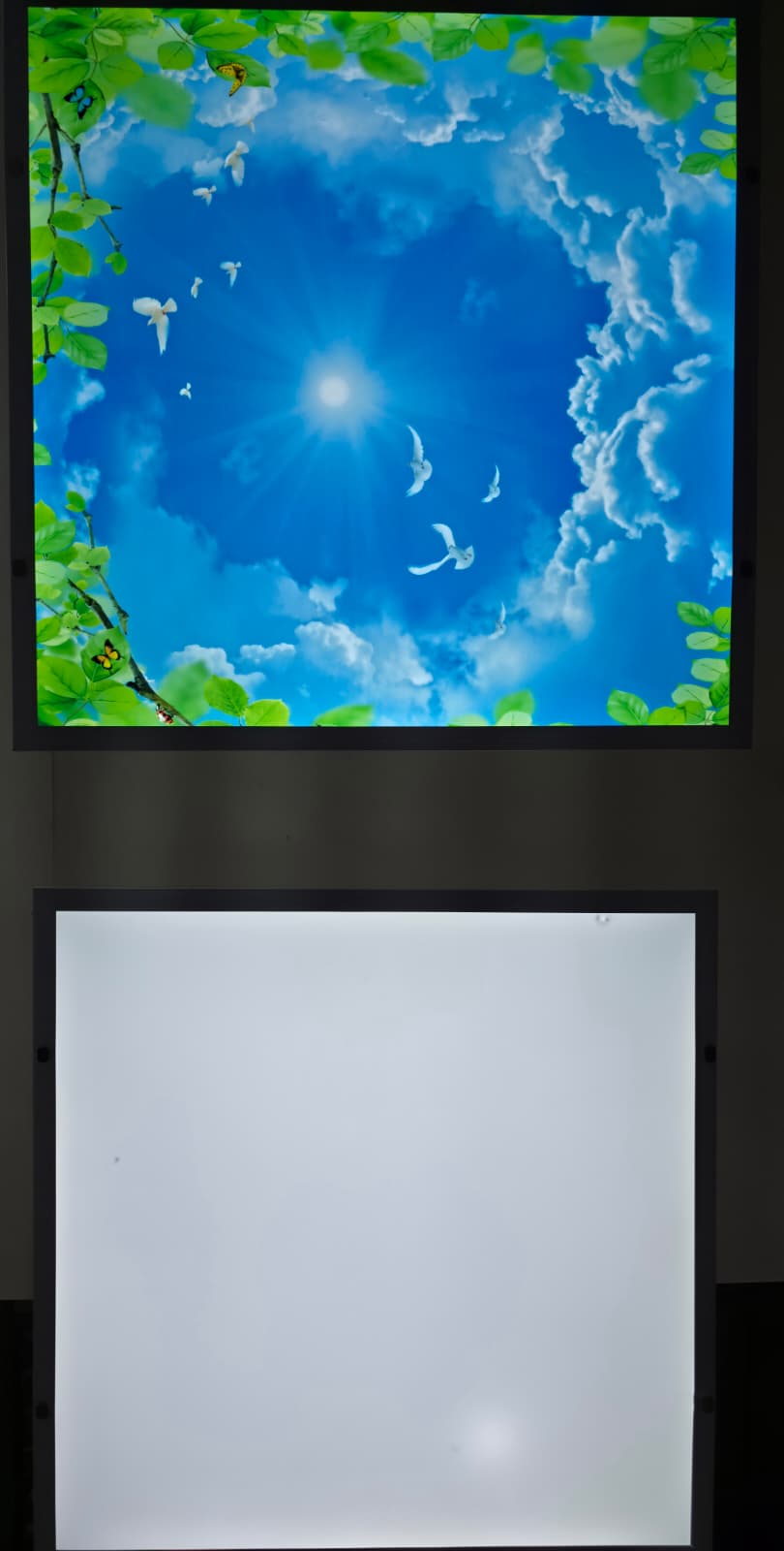 LED Panel Light